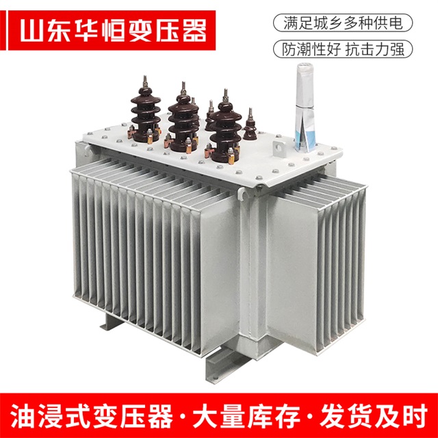 S13-10000/35禅城禅城禅城油浸式变压器厂家